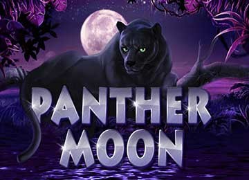 Panther Moon